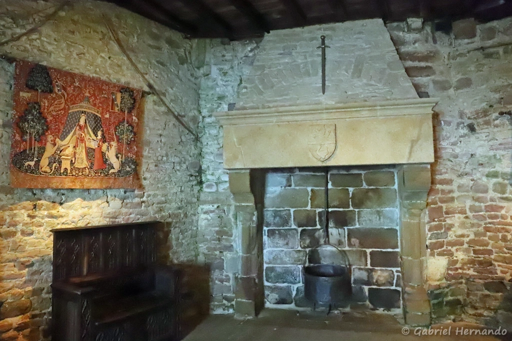 Salle seigneuriale du donjon