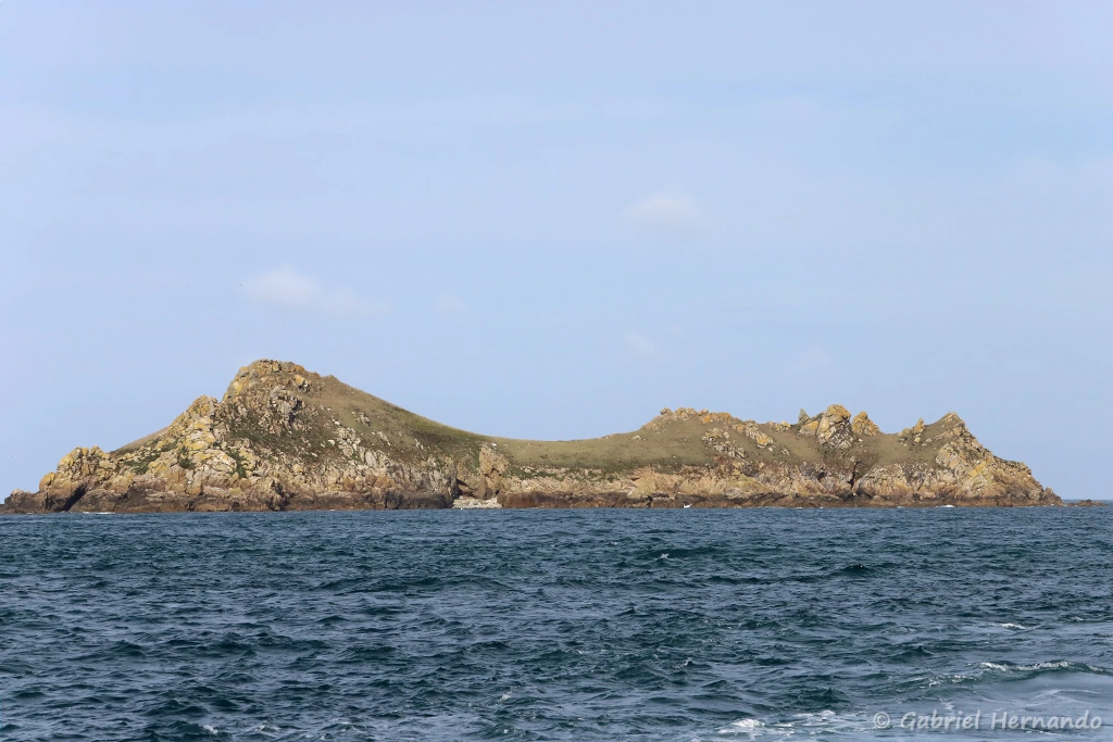 L'île Bono