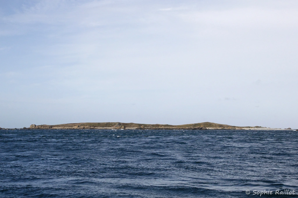 L'île Plate