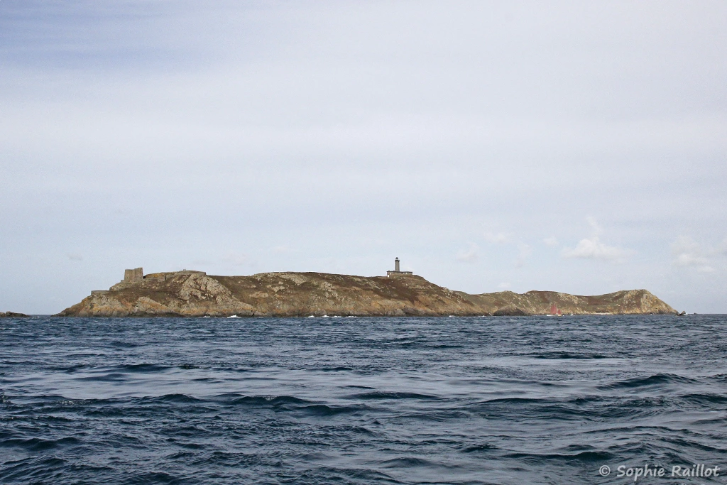 L'île aux Moines et l'île Bono