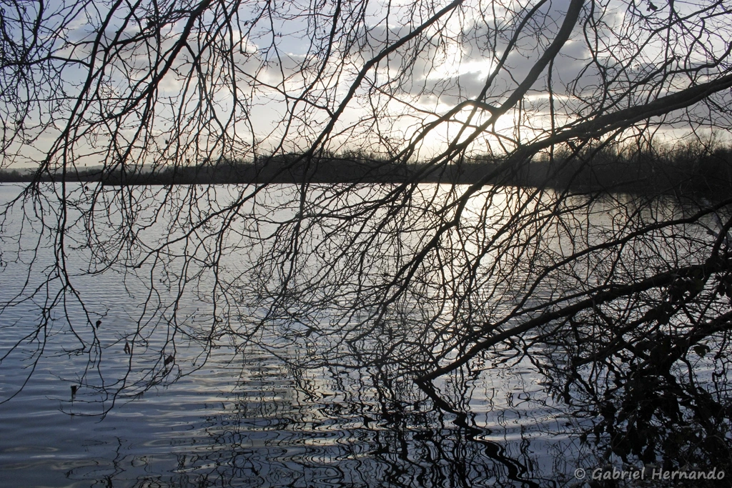 Etang de la Grande Noé