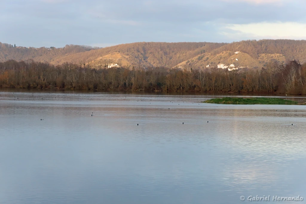 Etang de la Grande Noé
