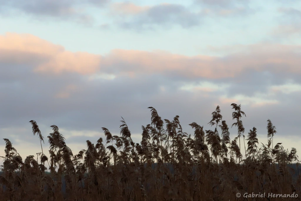 Couleurs du soir
