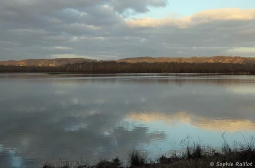 Etang de la Grande Noé