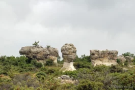 Rochers du site des Mourres