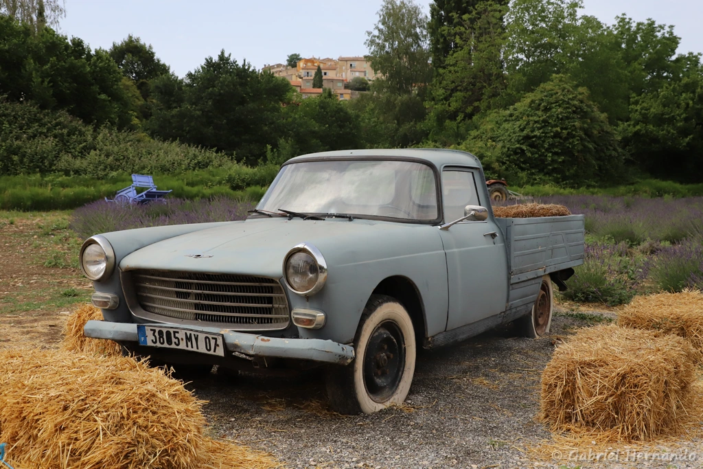 Vieille 404