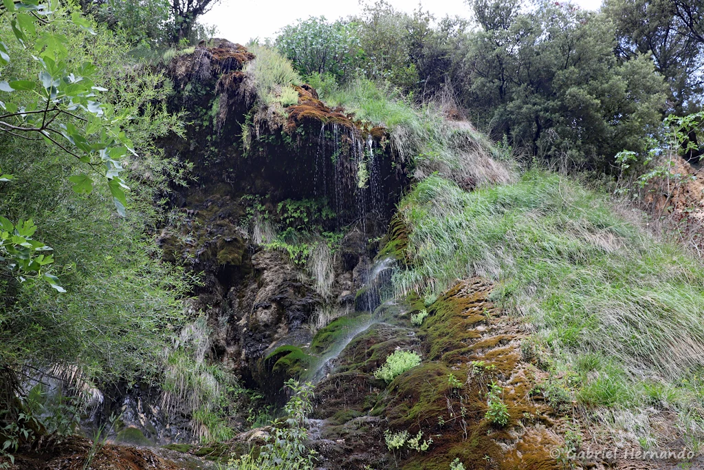 La cascade