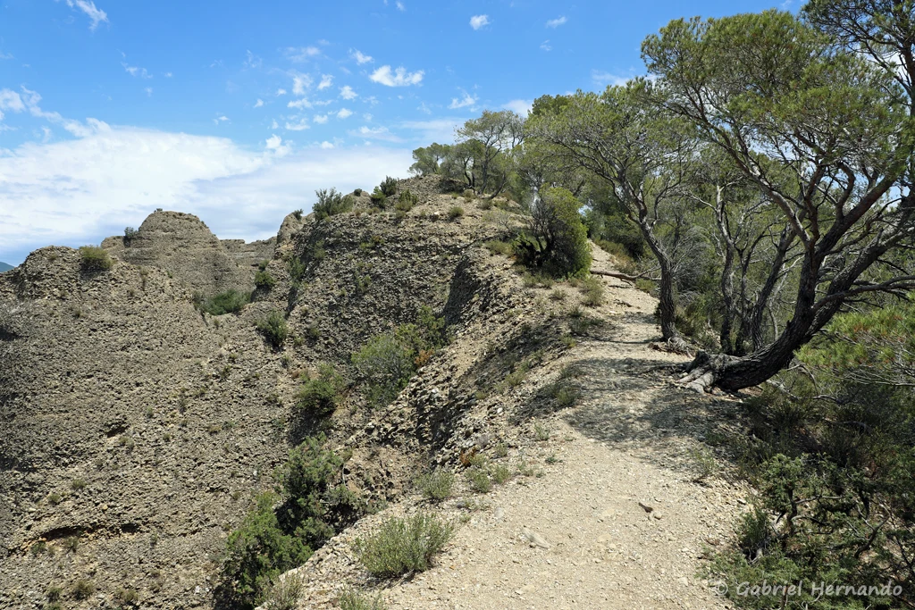 Sentier escarpé, sur les crêtes des Pénitents