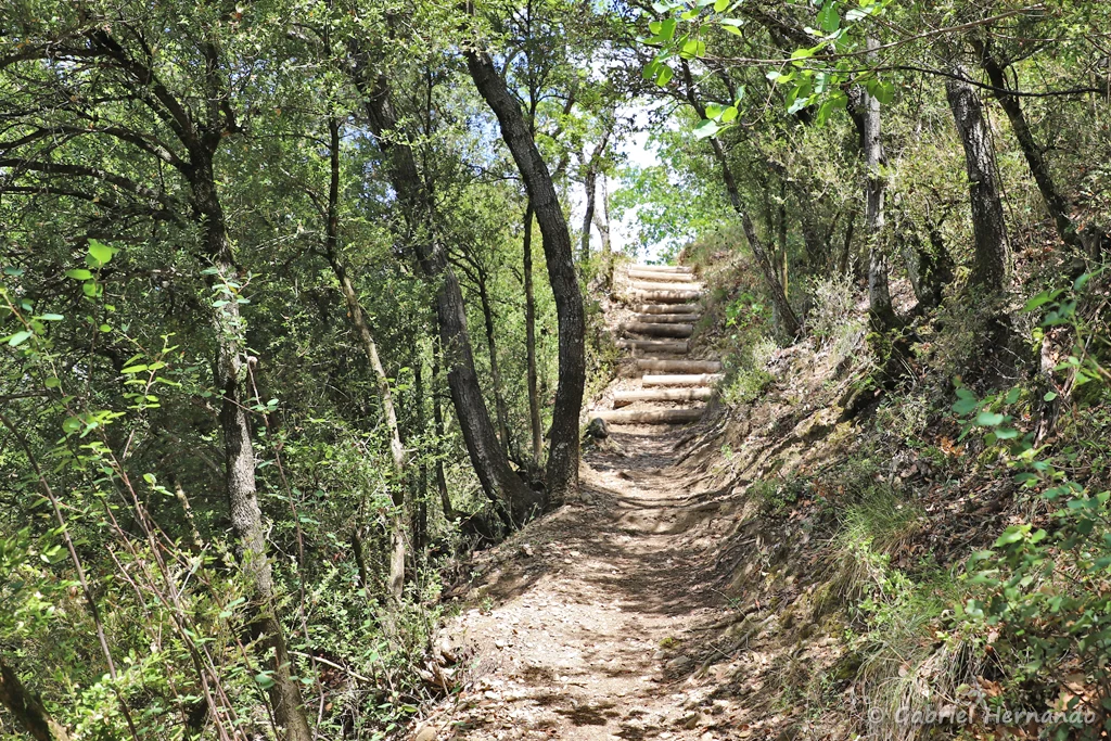 Le sentier descendant vers le pieds des falaises