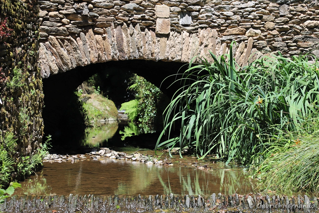 Le "riou nègre", petit ruisseau passant sous l'ancien moulin à huile