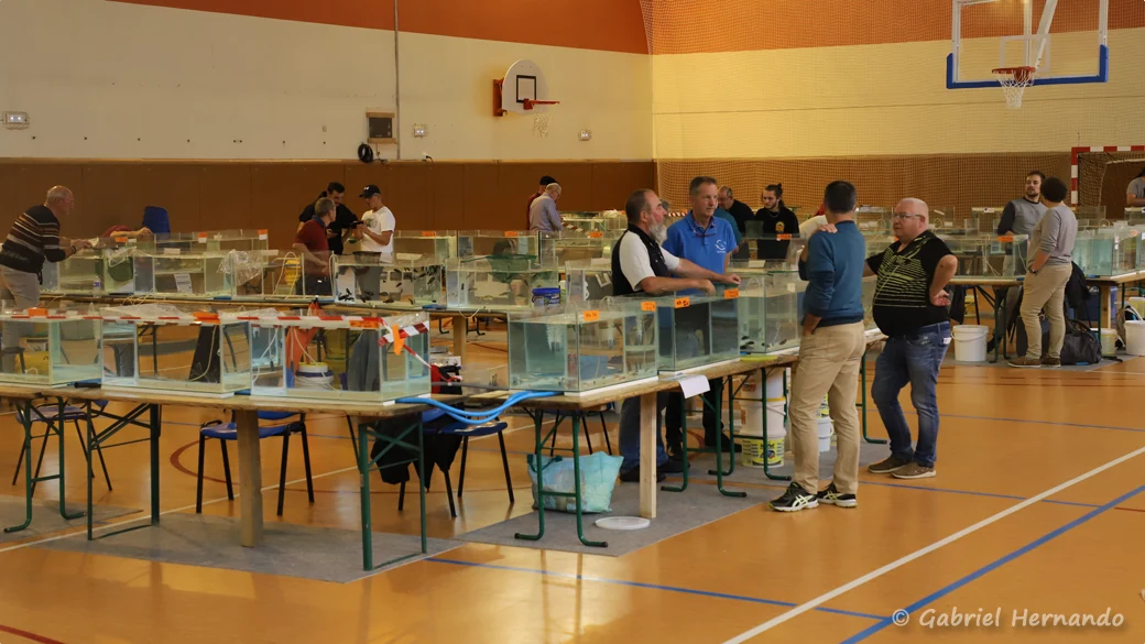 La bourse (Nancy, congrès AFC, octobre 2022)