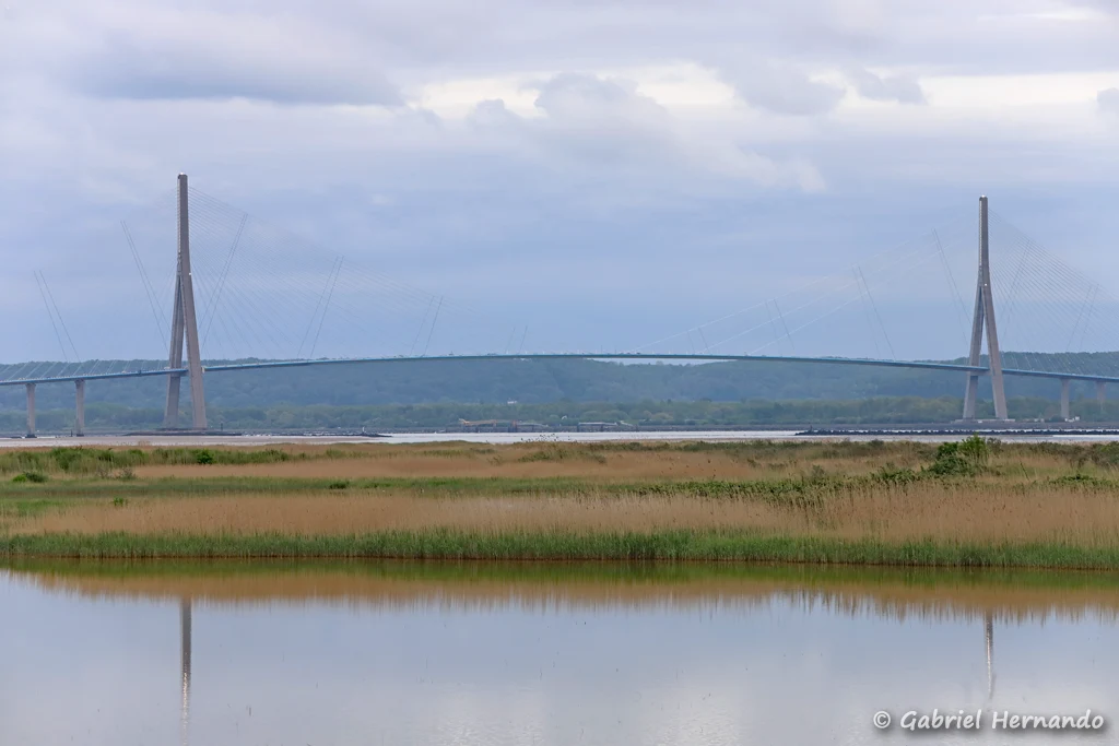 Pont de Normandie