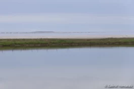 Vue sur l'embouchure