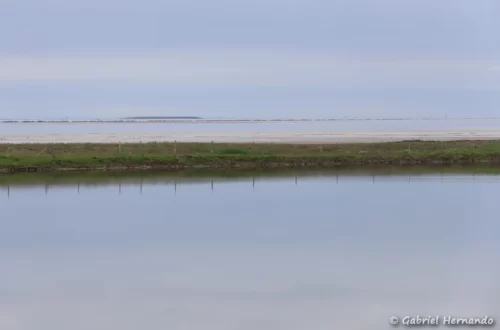 Vue sur l'embouchure