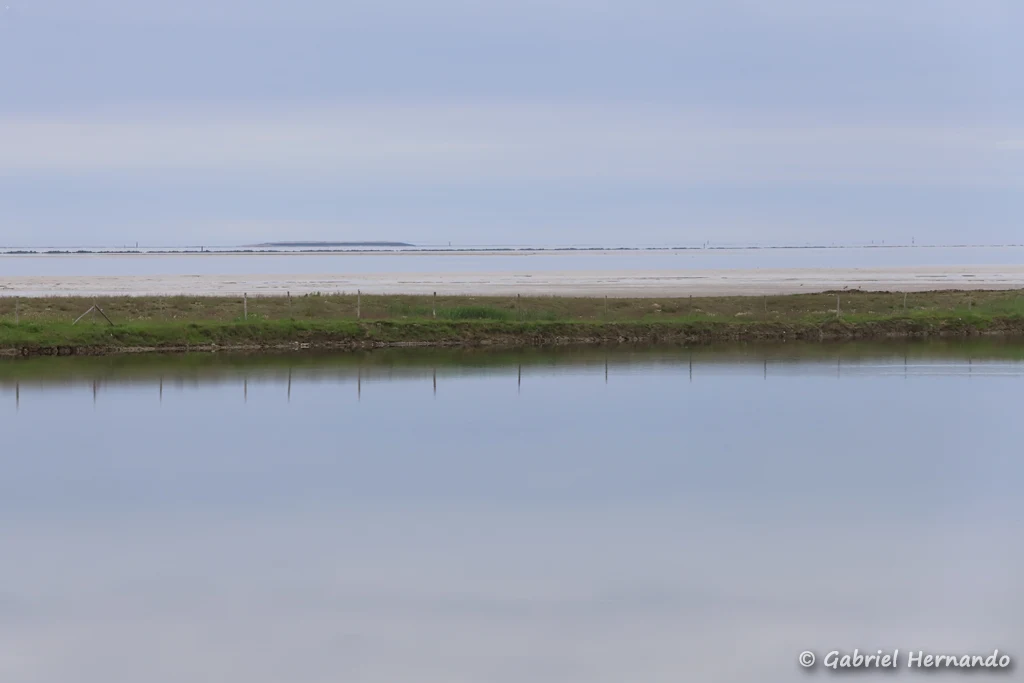 Vue sur l'embouchure
