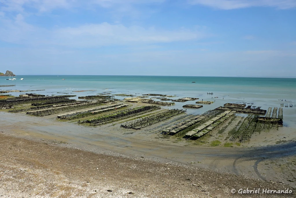 Parcs à huitres