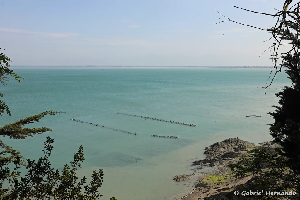 baie et les parcs à huitres, depuis le chemin du littoral