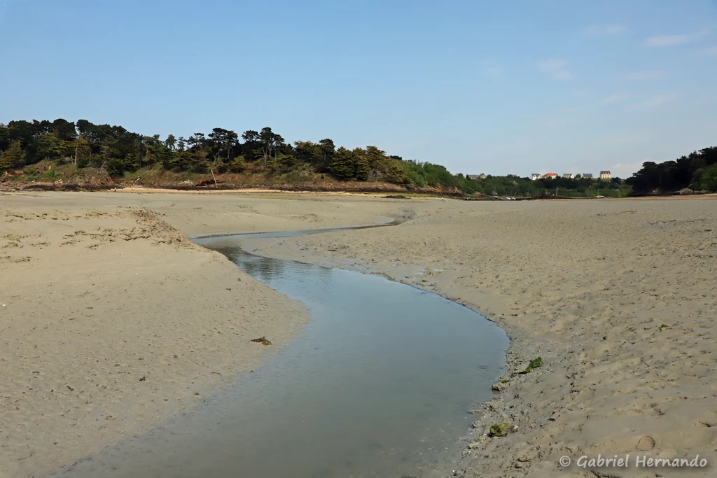 Le Sainte-Suzanne, petit cours d'eau se jetant dans l'anse de Rothéneuf, vue vers l'amont