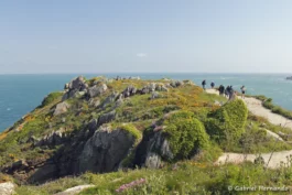 Pointe du Grouin