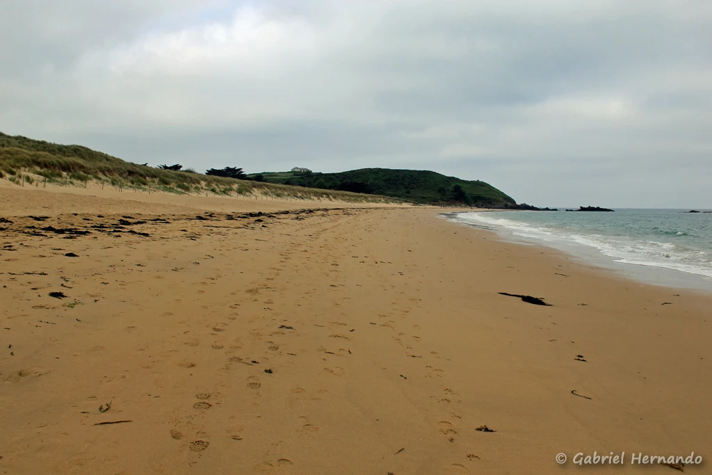 Plage des Chevrets et île Besnard