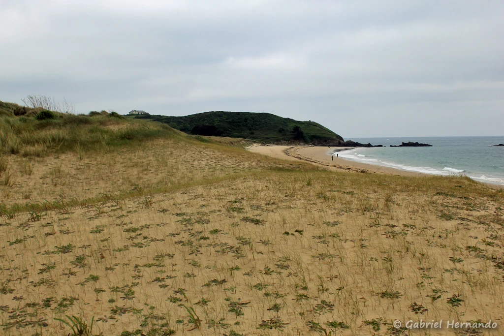 Cordon dunaire de la plage des Chevrets et l'île Besnard