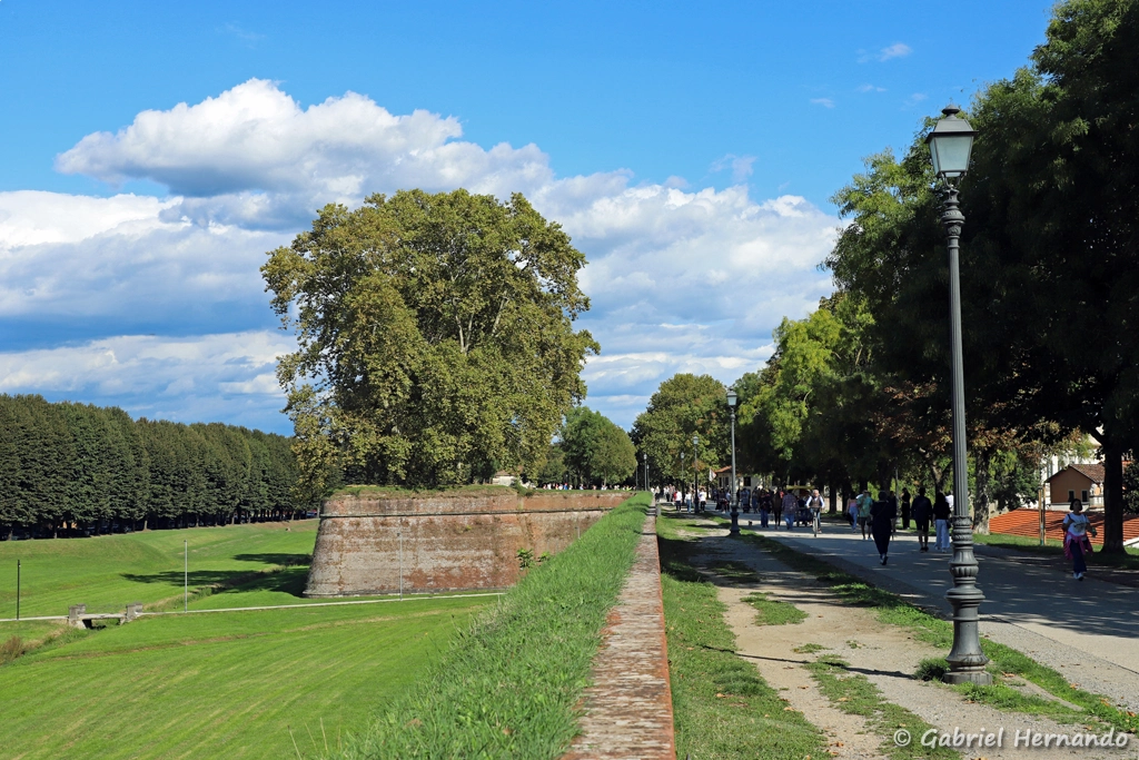 Plateforme San Frediano, depuis la promenade sur le rempart Nord