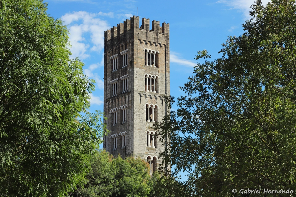 Campanile de la Basilique di San Frediano, depuis le rempart nord