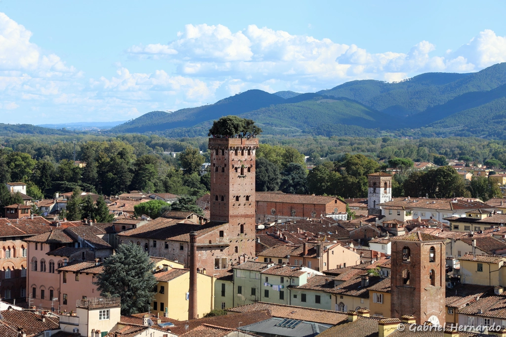Palazzo et Torre Guinigi, depuis le sommet du campanile de la basilique di San Frediano