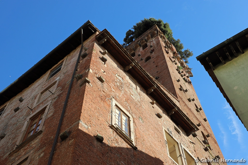 Palazzo et la Torre Guinigi, depuis la Via delle Chiavi D'Oro