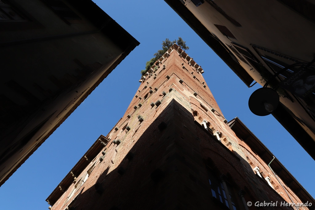 Vue en contre plongée de la Torre Guinigi, à l'angle des Via delle Chiavi D'Oro et Via Sant'Andrea