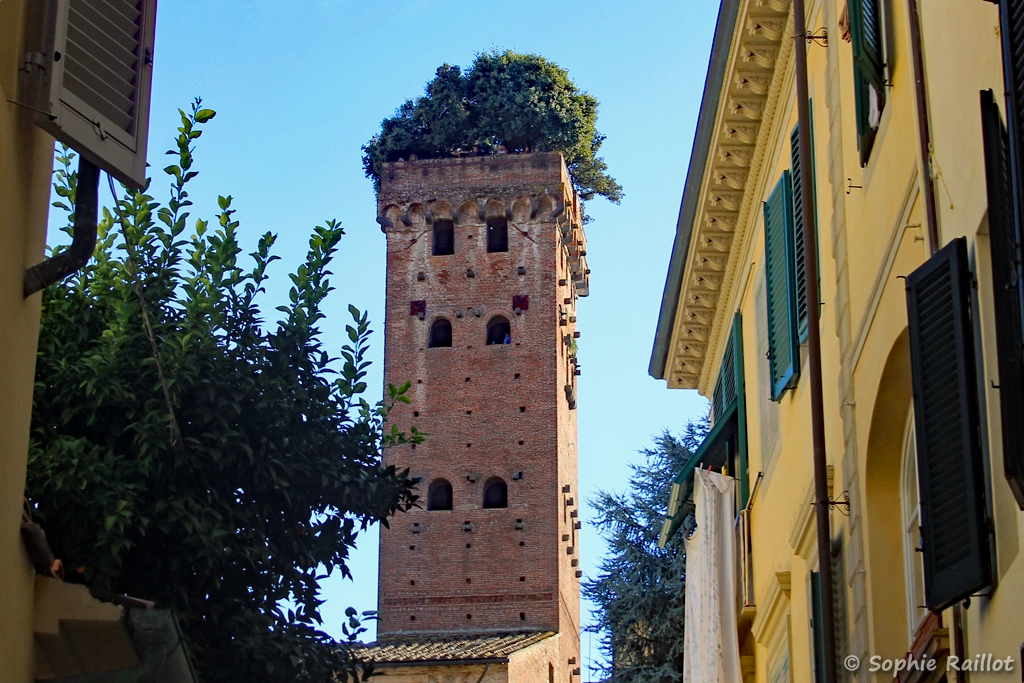 Torre Guinigi, depuis la Via delle Chiavi D'Oro