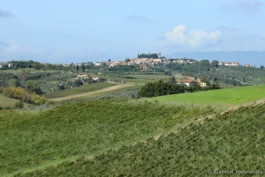 Panorama sur Cerreto Guidi, et la campagne environnante depuis la villa Casale di Valle
