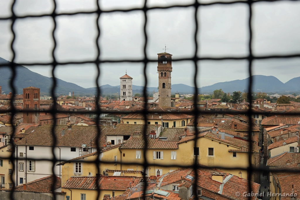 Vue en cours d'ascension de la Torre Guinigi, sur la Torre delle Ore et le campanile de l'église San Michele in Foro