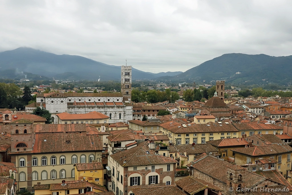 Panorama depuis le sommet de la Torre Guinigi, avec la cathédrale di San Martino