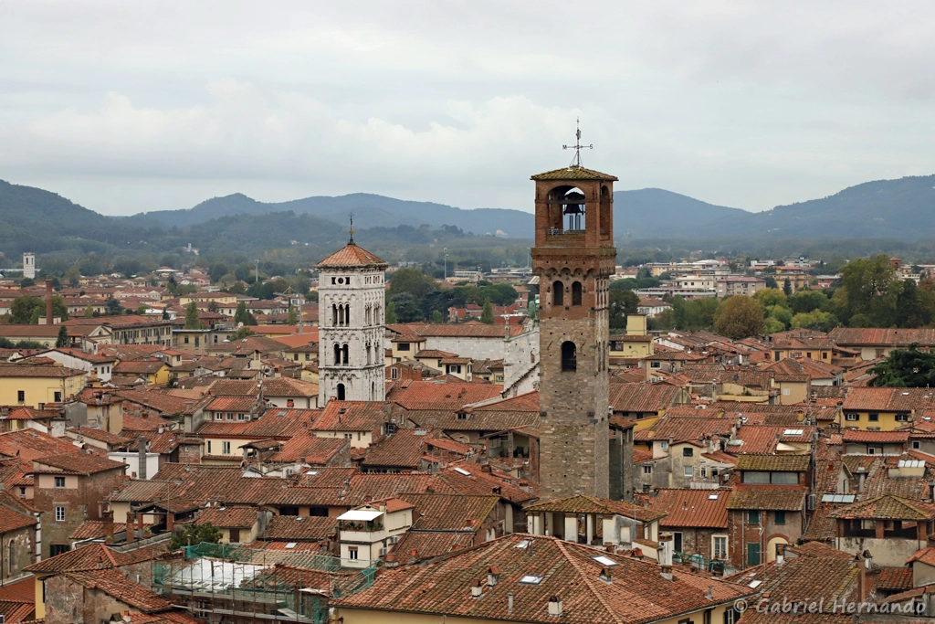 Panorama depuis le sommet de la Torre Guinigi, avec la Torre delle Ore et le campanile de l'église San Michele in Foro