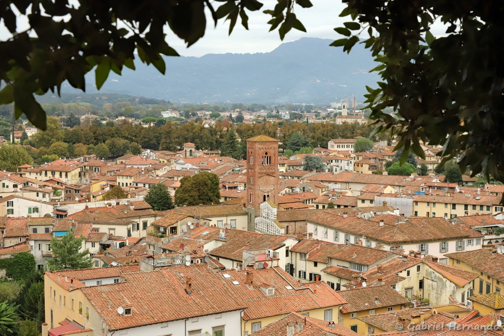 Vue depuis le sommet de la Torre Guinigi, avec l'église di San Pietro Somaldi