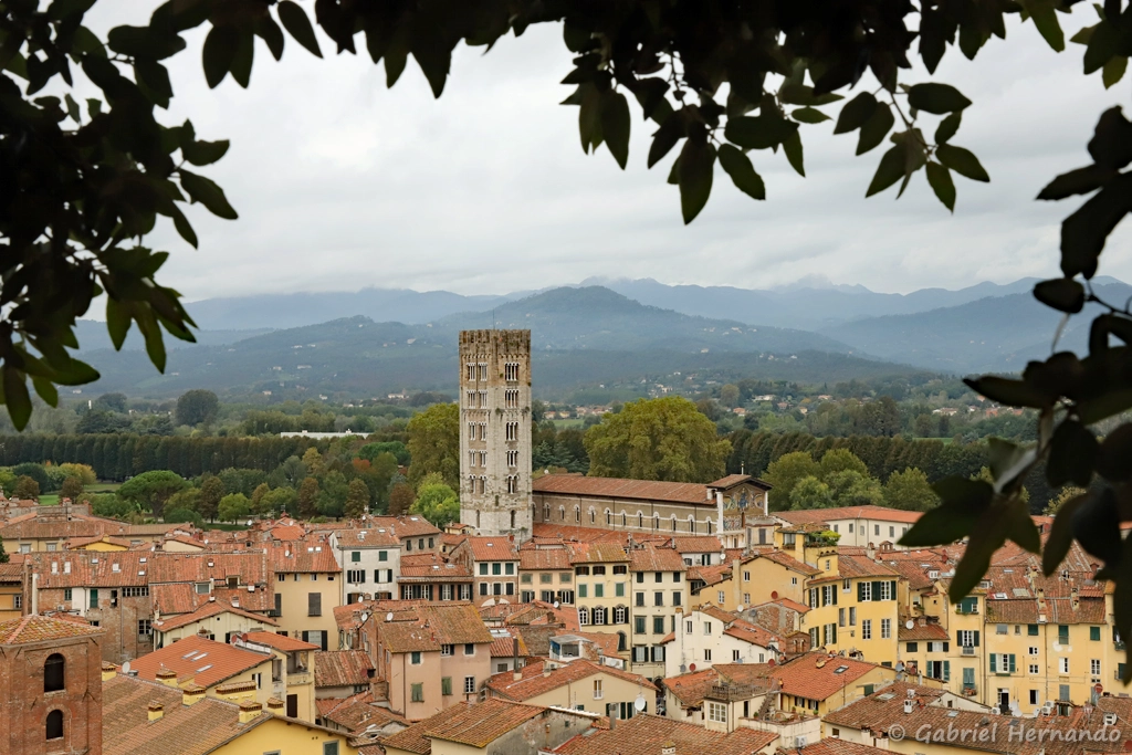 Basilique San Frediano, depuis le sommet de la Torre Guinigi