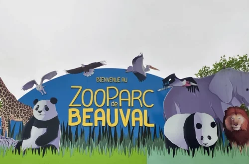 ZooParc de Beauval (mai 2025)
