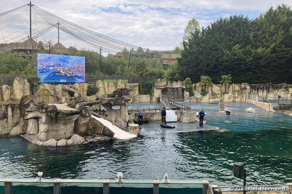 Le bassin des Otaries