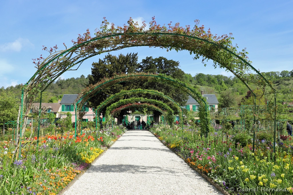 Allée centrale du Clos Normand, vers la maison