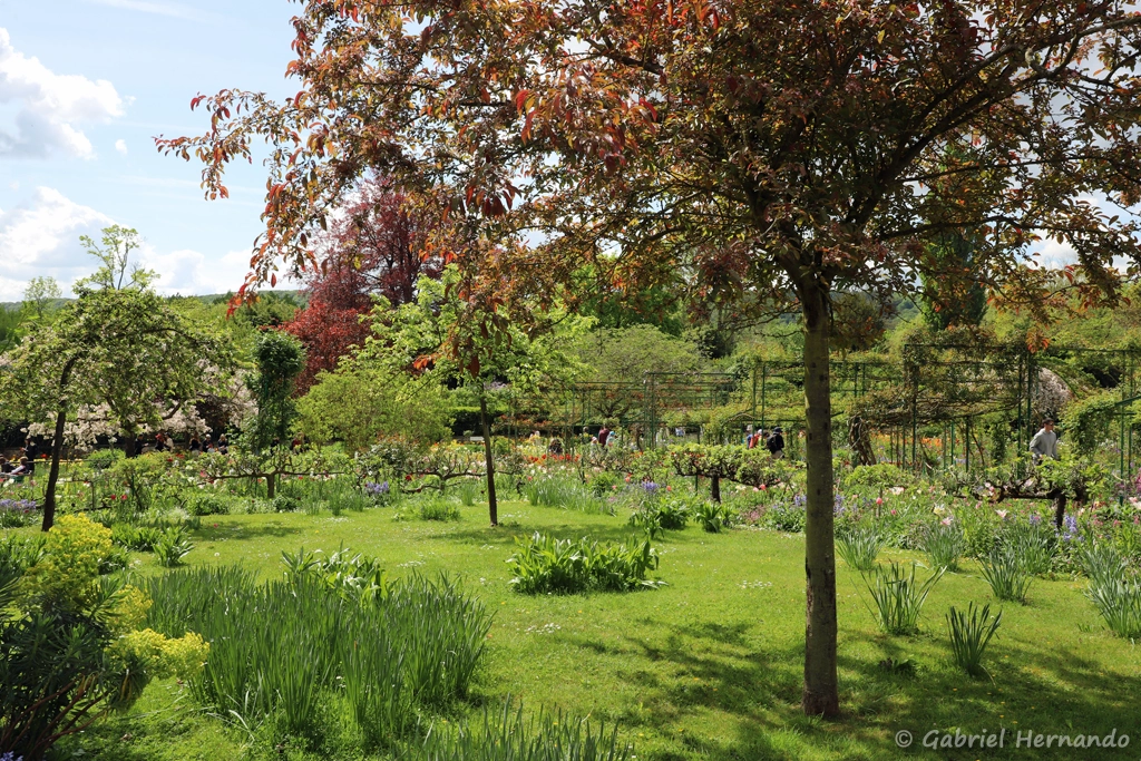 Le Clos Normand