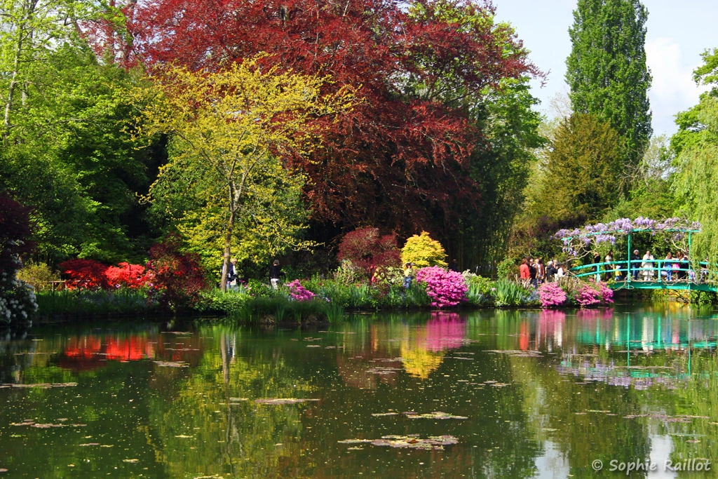 Le pont japonais et reflets dans le jardin d'eau