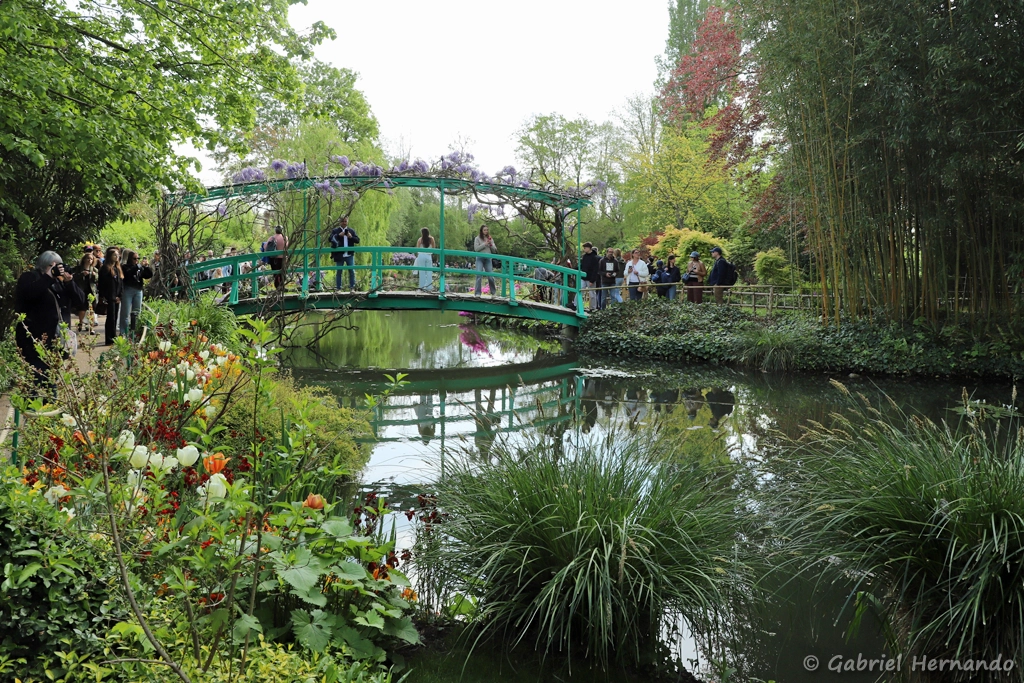Le pont japonais
