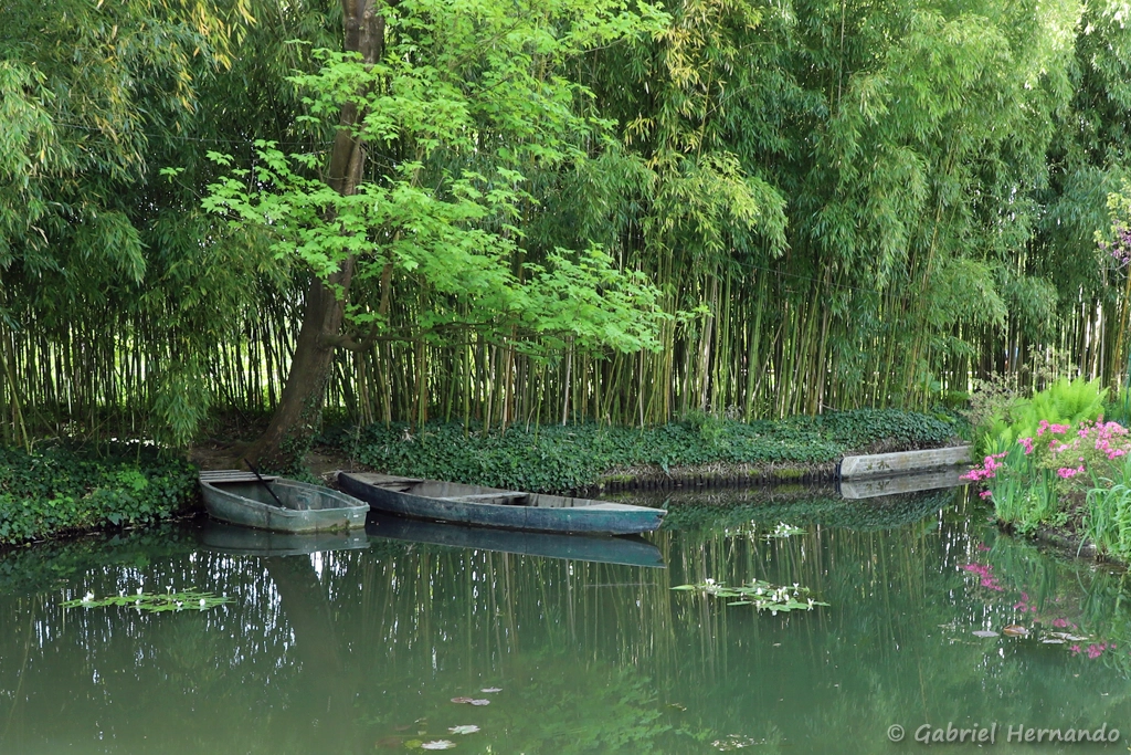 Les barques sur le bassin