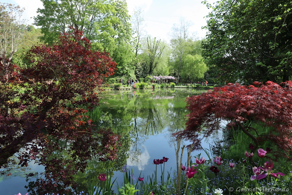 Le jardin d'eau, depuis l'extrémité du jardin d'eau