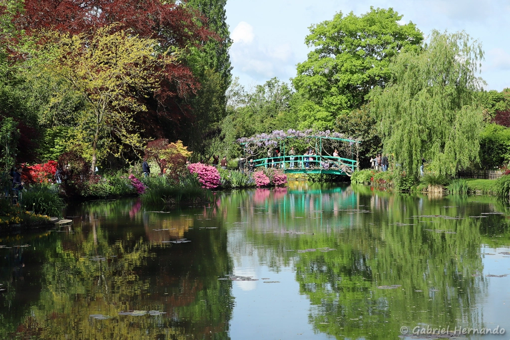 Le pont japonais et reflets dans le jardin d'eau, depuis l'extrémité du jardin d'eau