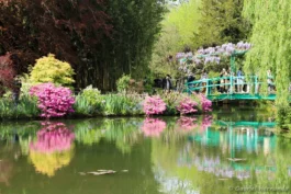 Le pont japonais et reflets dans le jardin d'eau