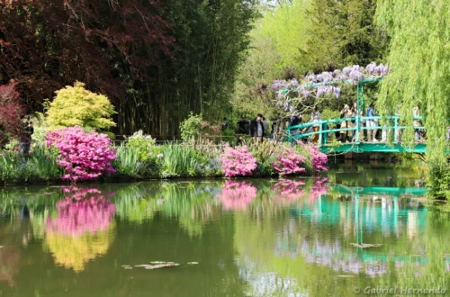 Le pont japonais et reflets dans le jardin d'eau