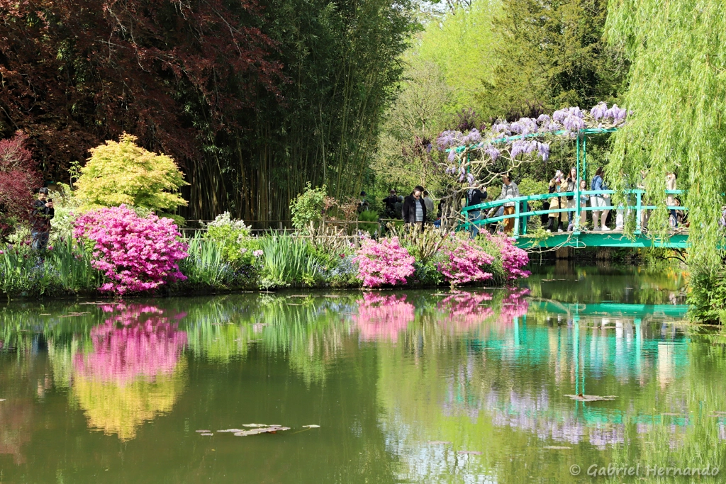 Le pont japonais et reflets dans le jardin d'eau
