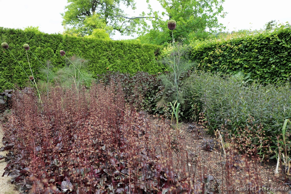 Le jardin teinté de brun